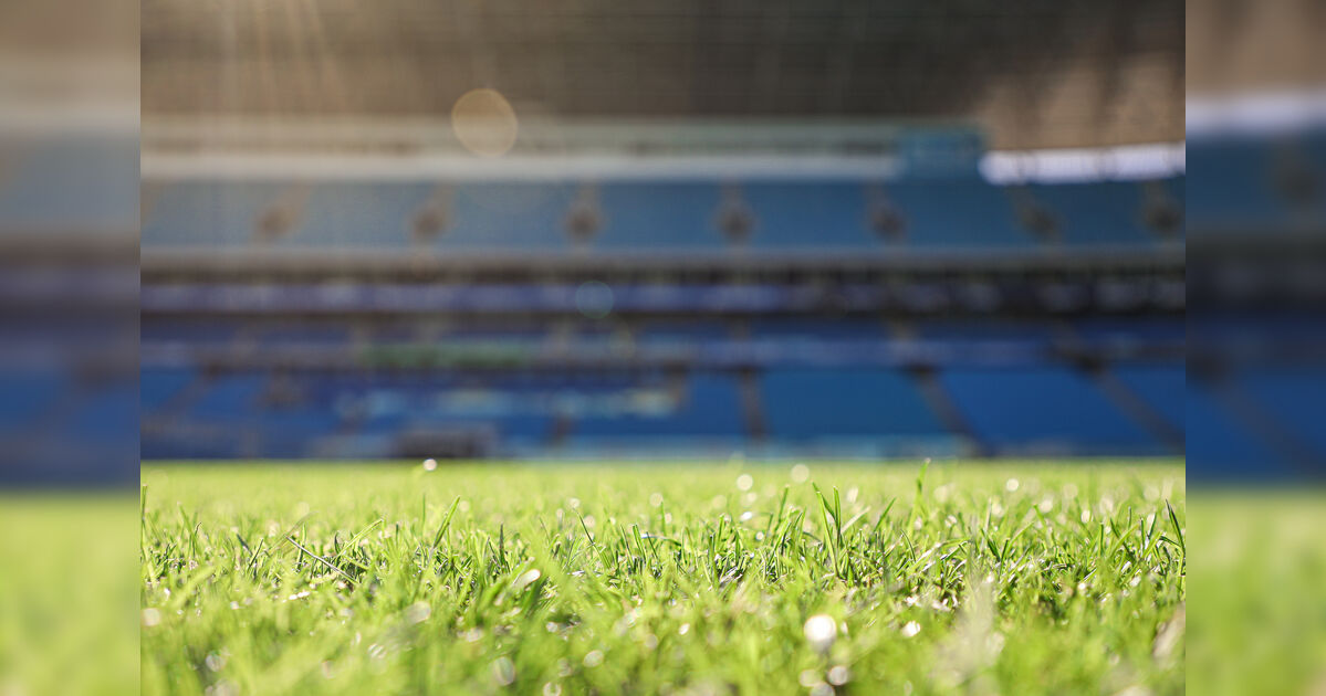 Veja onde assistir Grêmio x Coritiba ao vivo neste domingo