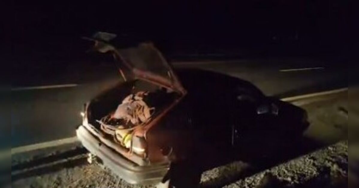 Polícia Civil prende 10 suspeitos por furto de cabos de cobre avaliados em R$ 100 mil no Oeste do Paraná