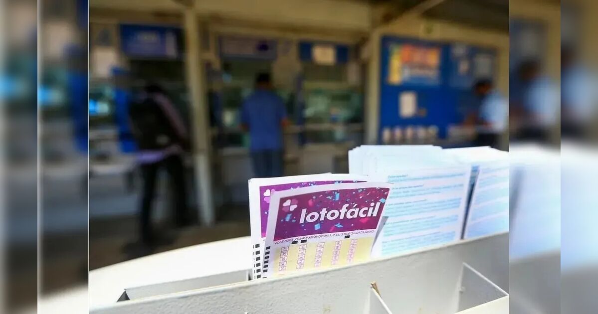 Confira o resultado da Lotofácil concurso 3683 desta terça-feira (12)