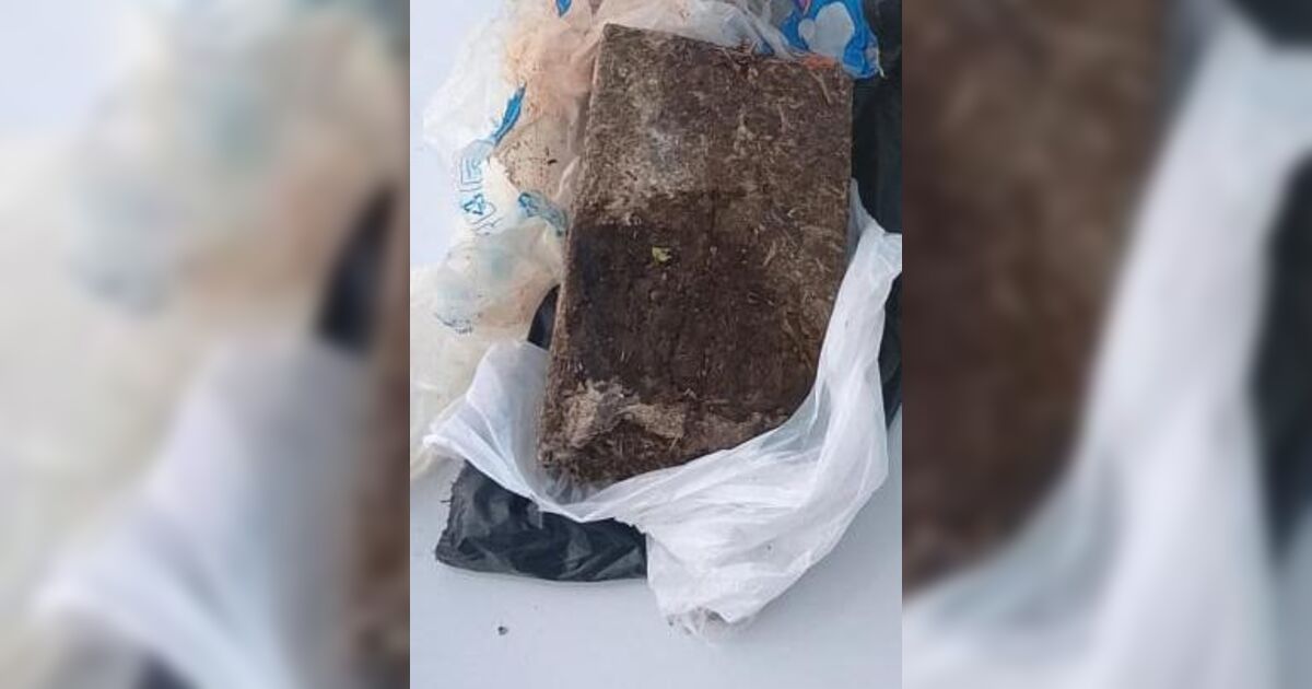 PM apreende droga achada em terreno perto da casa de custódia em Arpongas