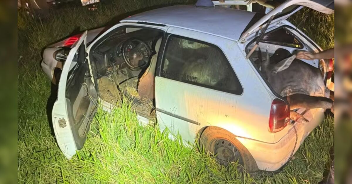 Polícia encontra bois furtados espremidos dentro de carro; veja