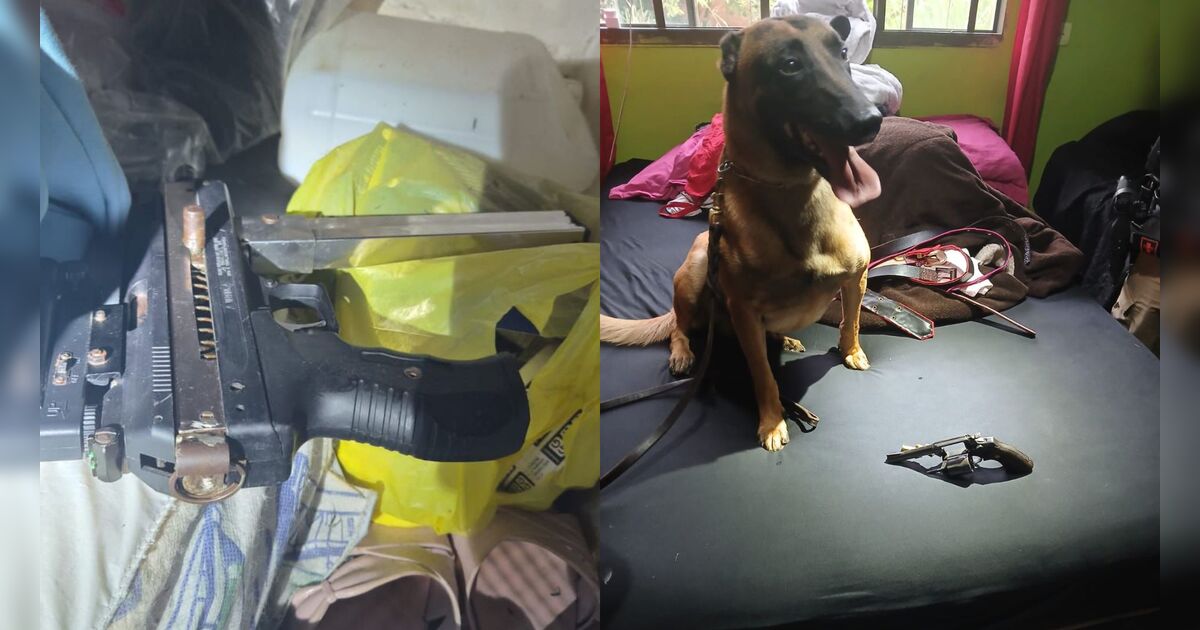 Ação da PM frustra vingança e apreende armas em Apucarana; 5 suspeitos foram presos