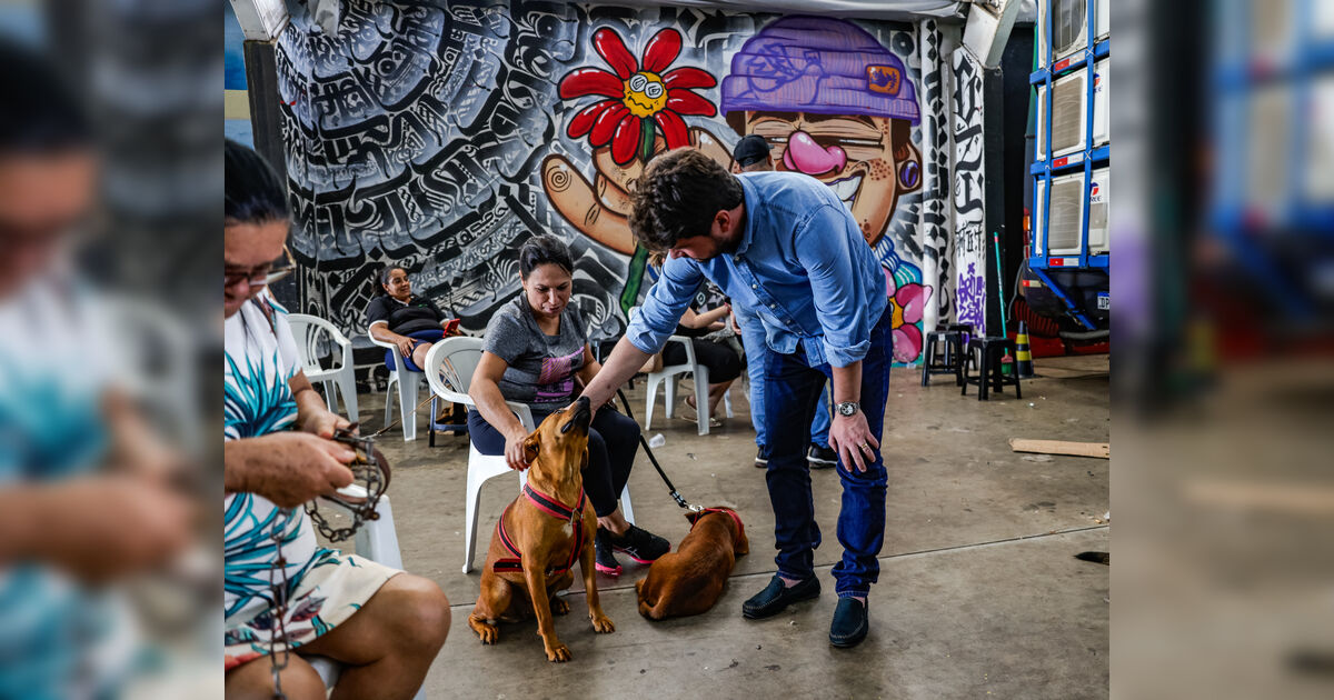 Arapongas encerra mutirão com mais de mil animais cadastrados para castração gratuita