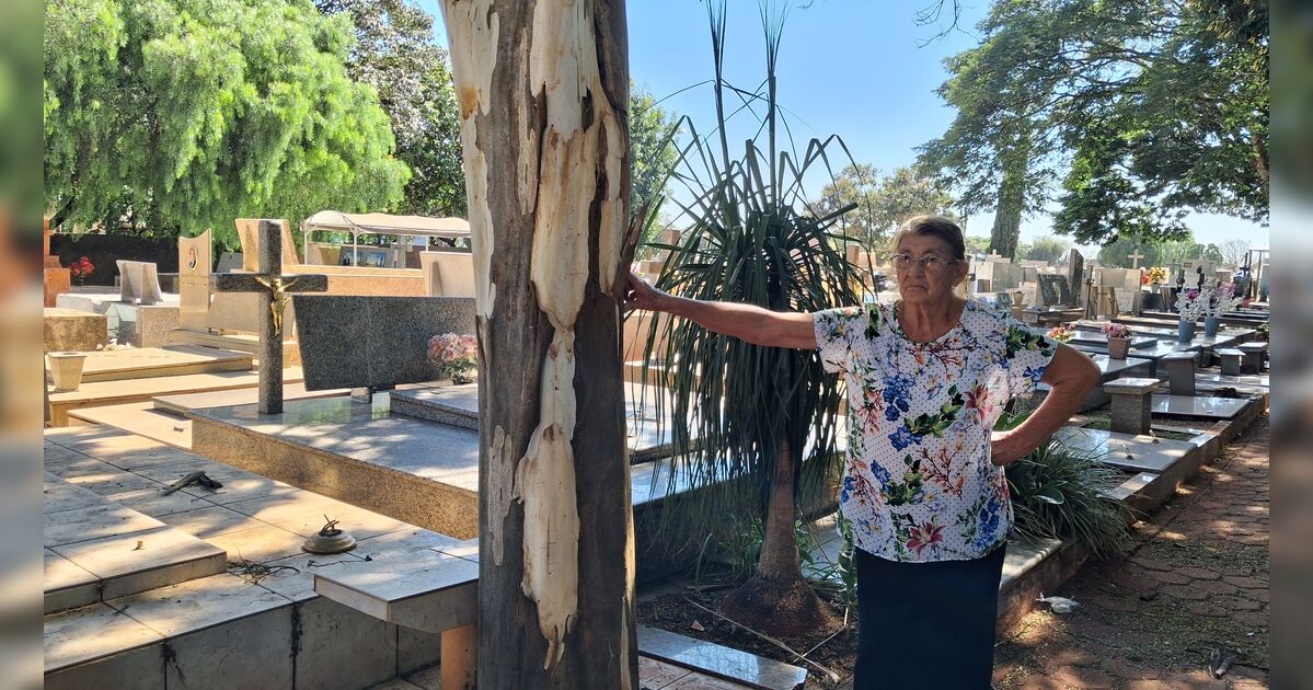 Família denuncia sumiço de restos mortais de cemitério em Arapongas (PR); veja