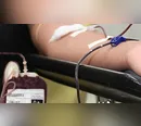 Hemonúcleo de Apucarana faz apelo por mais doações de sangue