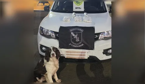Polícia Rodoviária apreende drogas em carro de estudantes de medicina na PR-986