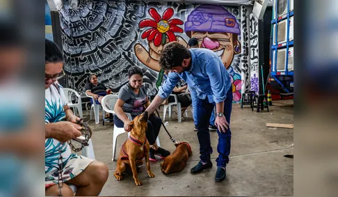 Arapongas encerra mutirão com mais de mil animais cadastrados para castração gratuita