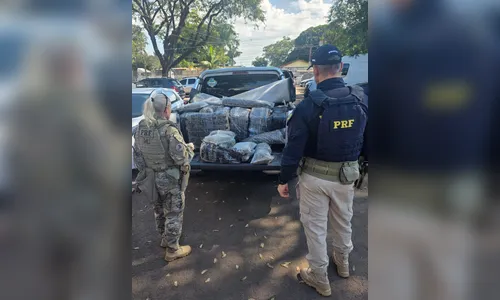 PRF apreende mais de 470 quilos de skunk em Maringá (PR)