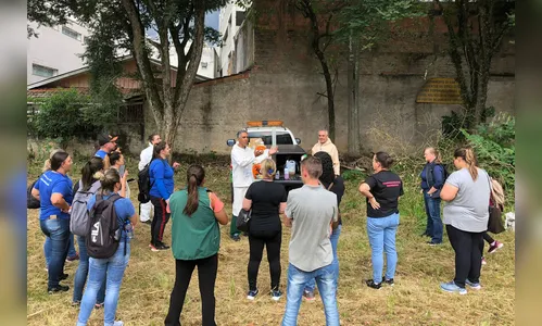 Casos e mortes por dengue no Paraná caem mais de 96% nos primeiros meses de 2026