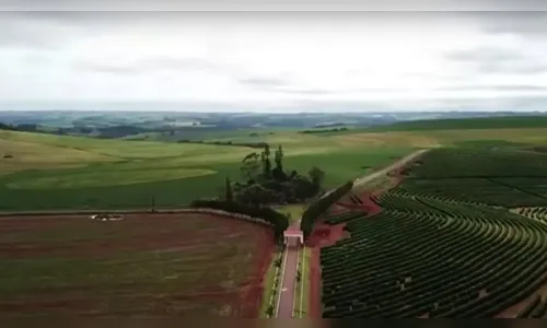 Apresentador é dono da maior fazenda de um estado inteiro, com 150 mil hectares; saiba quem