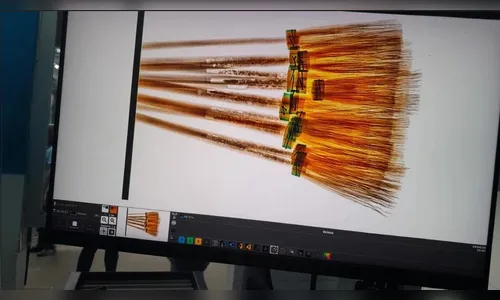 Mulher é presa ao tentar entrar em presídio com maconha e 'Viagra' em cabos de vassoura