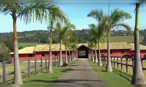 Cantora que quebra recordes é dona de fazenda de 2 mil hectares com haras e lago privativo; saiba quem