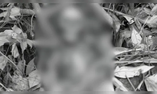 Crânio humano é encontrado pendurado em árvore de mata; entenda