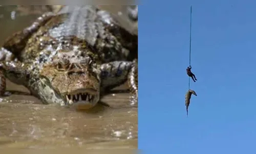 Policial é içado de helicóptero para recolher crocodilo que devorou empresário; veja