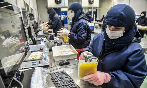 Dia Mundial da Hemofilia: campanha reforça importância do diagnóstico