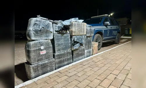 Carga de arroz escondia quase 400 kg de drogas em rodovia do Paraná