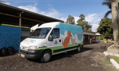 Atropelou um animal? Cemsa de Apucarana explica como proceder