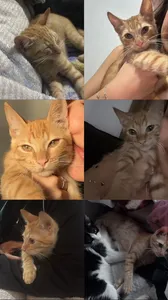 Fotos cedidas pela família.
