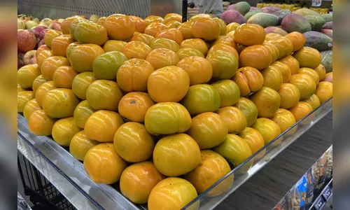 Com 11,4% da produção estadual, região de Apucarana é destaque no cultivo de caqui