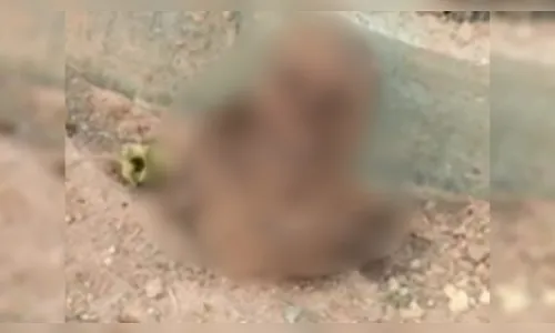 Homem é preso após violar túmulo e retirar crânio de caixão