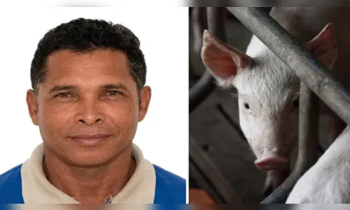 Homem morre após ser atacado por porco em área rural