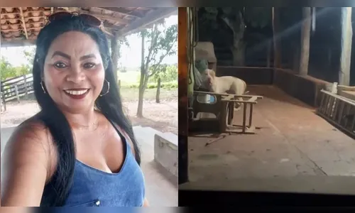 Mulher morre após ataque de pitbull durante banho em casa no MA