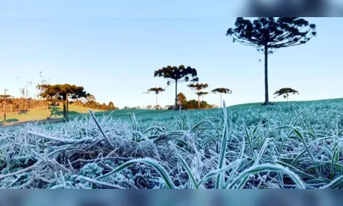 Frio retorna ao Paraná com previsão de chuvas e forte queda de temperatura