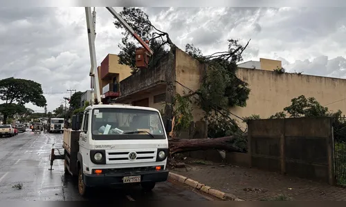 Temporal derruba árvores e postes em Ivaiporã nesta quarta-feira (29)