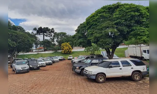 Inscrições para leilão de 192 veículos oficiais do Estado encerram nesta sexta-feira