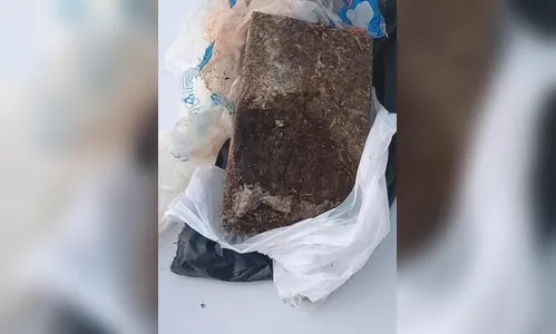 PM apreende droga achada em terreno perto da casa de custódia em Arpongas