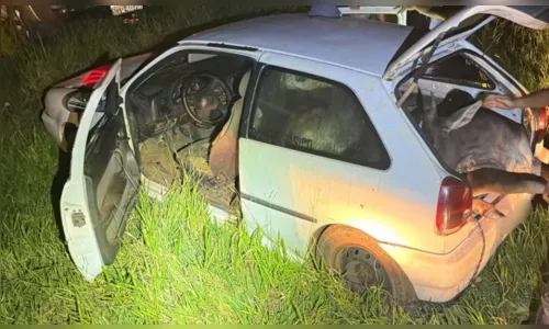 Polícia encontra bois furtados espremidos dentro de carro; veja