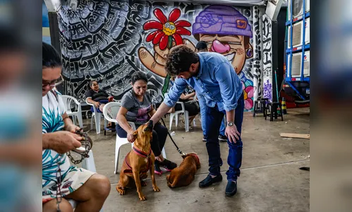 Arapongas encerra mutirão com mais de mil animais cadastrados para castração gratuita