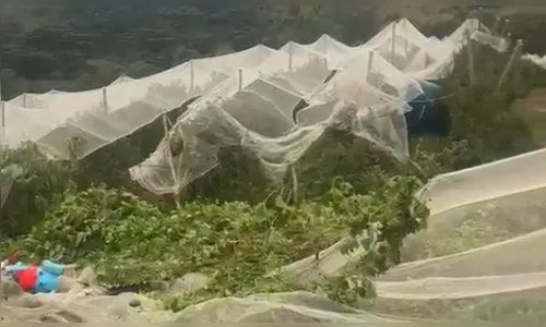 Imagens mostram rastro de destruição após temporal atingir São Joaquim e região