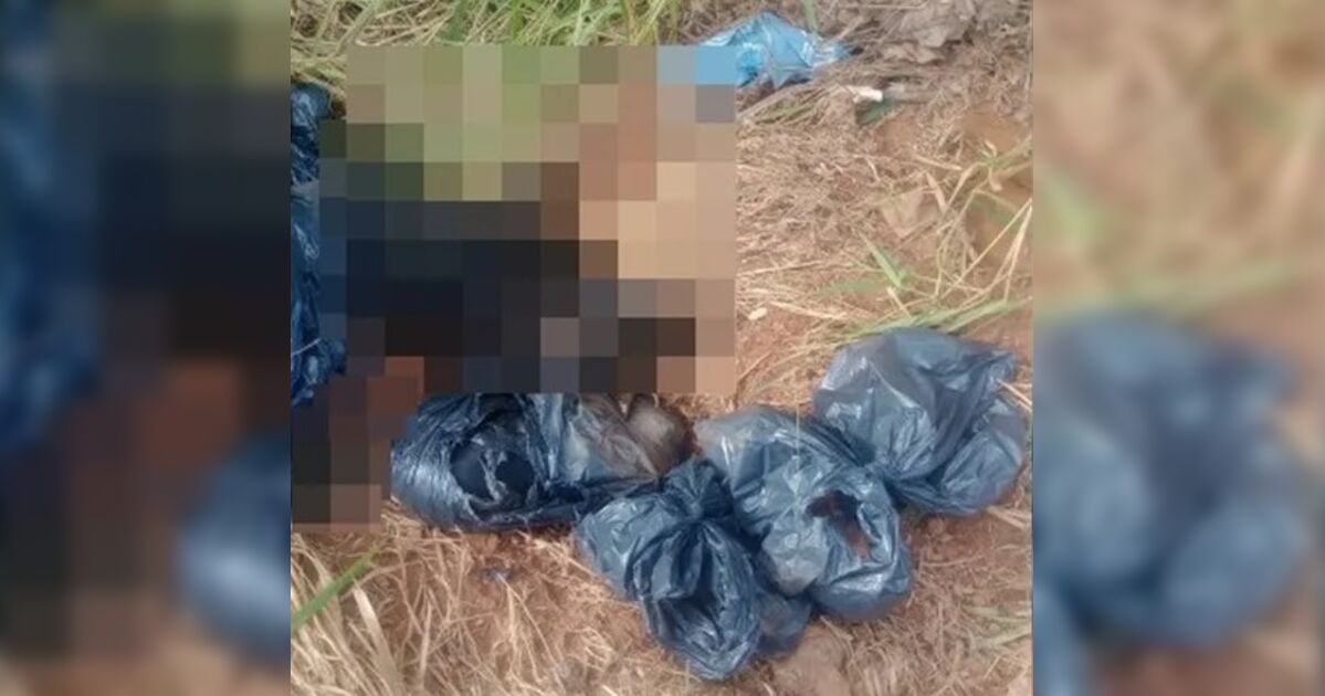 Polícia investiga se empresa cobrava para cremar pets, mas jogava corpos no lixo