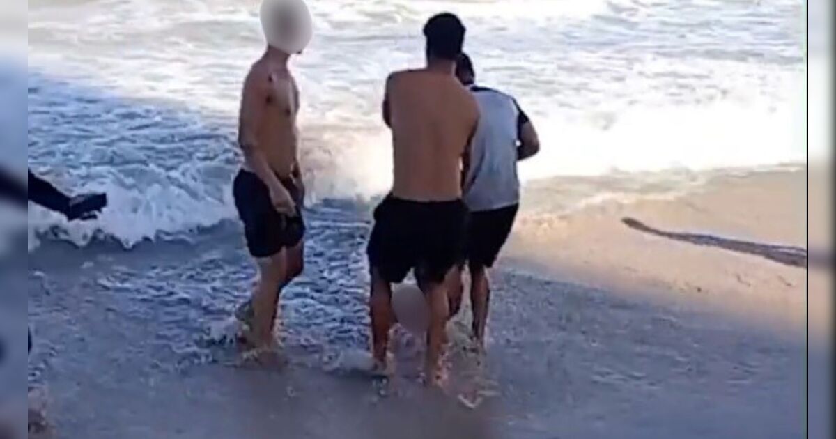 Jovem de 19 anos é atacada por tubarão em praia do Recife