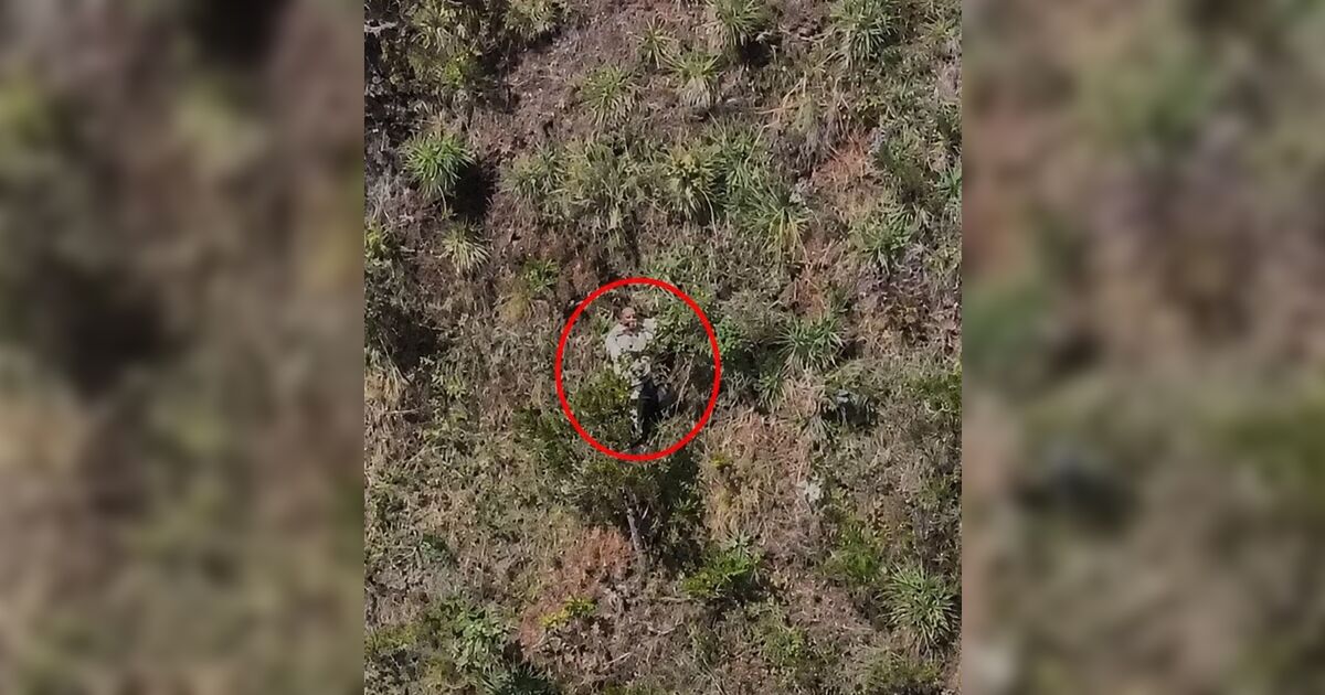 Mulher jogada em penhasco pelo ex se escondeu de equipes de buscas com medo de ser o agressor