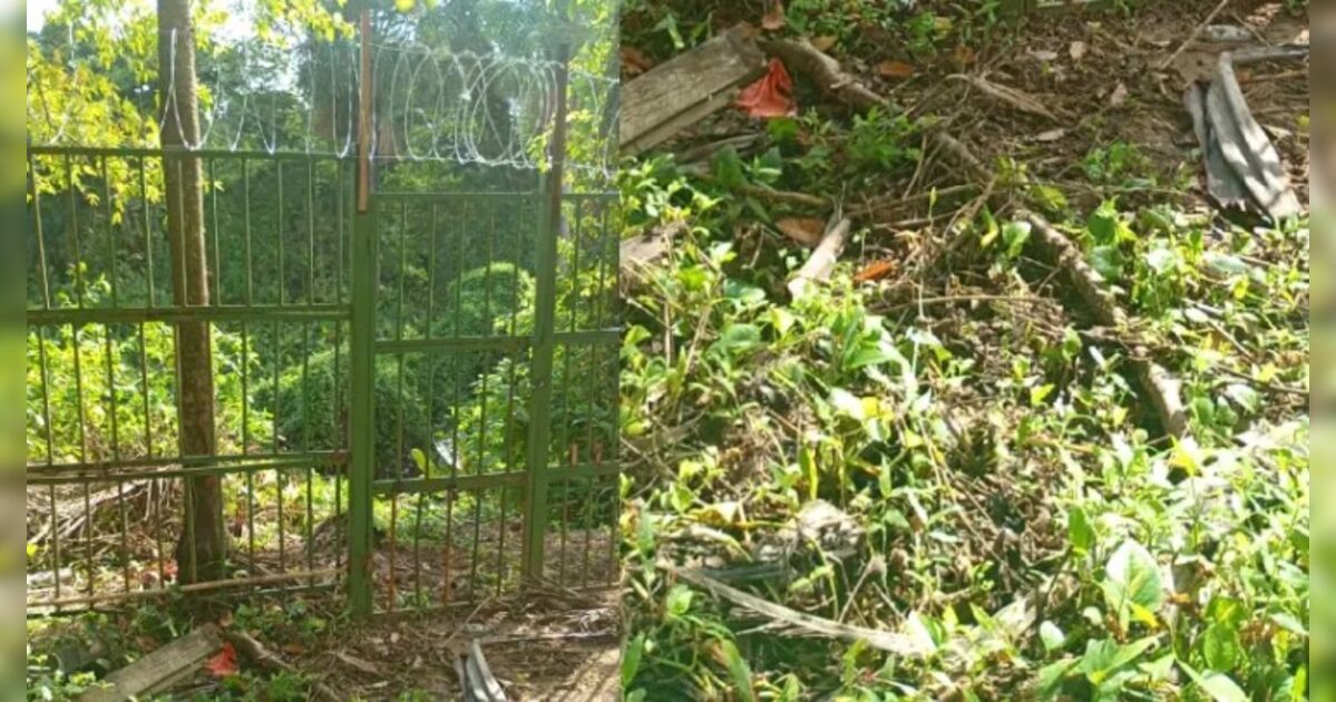 Moradores confundem capivara morta com corpo desovado e chamam a polícia