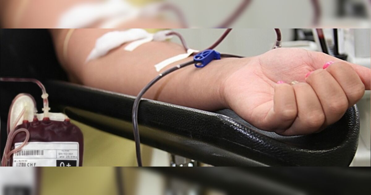 Hemonúcleo de Apucarana reúne doadores de sangue neste sábad