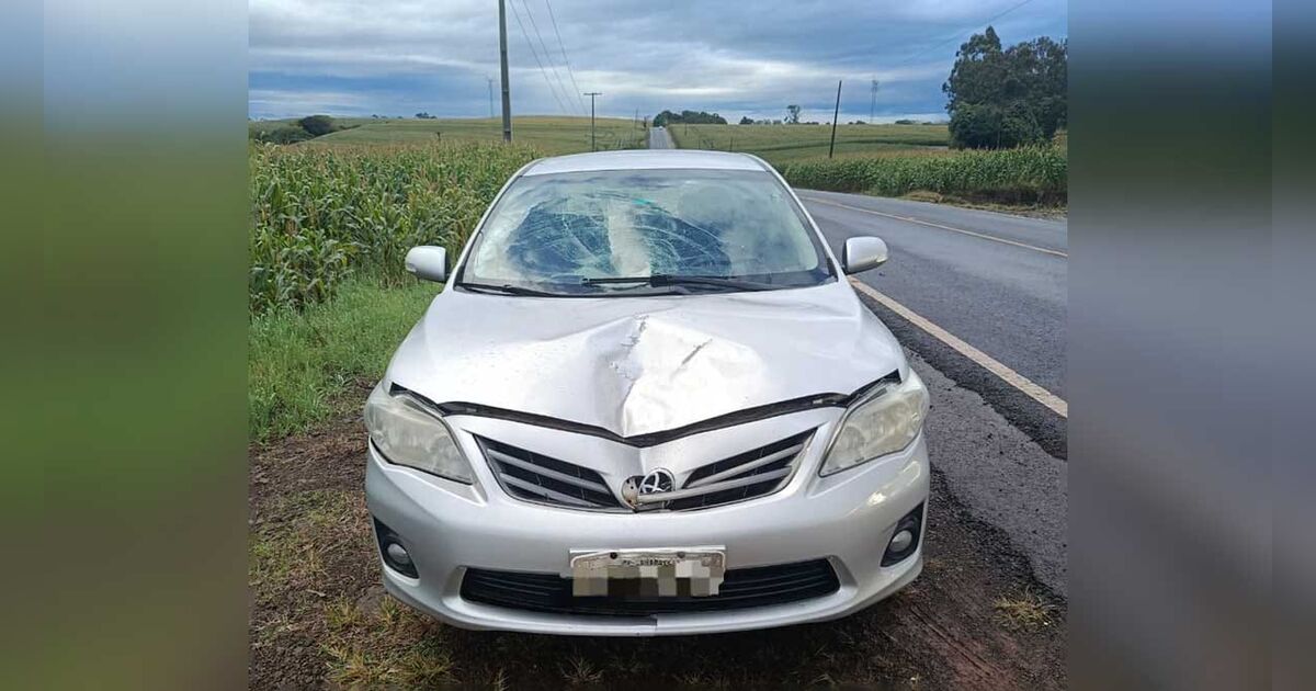 Jovem fica ferida após atropelamento na PR-082 entre Jardim 