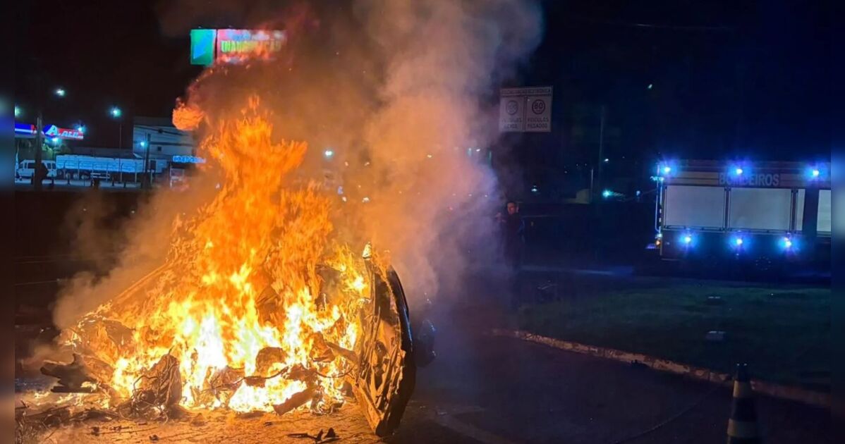 Motorista morre carbonizado após carro bater em poste e pegar fogo na BR-101