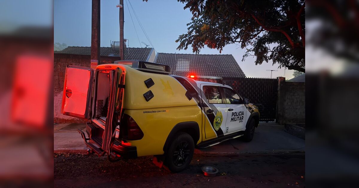 Gaeco deflagra operação contra tráfico de drogas e comércio de armas no PR