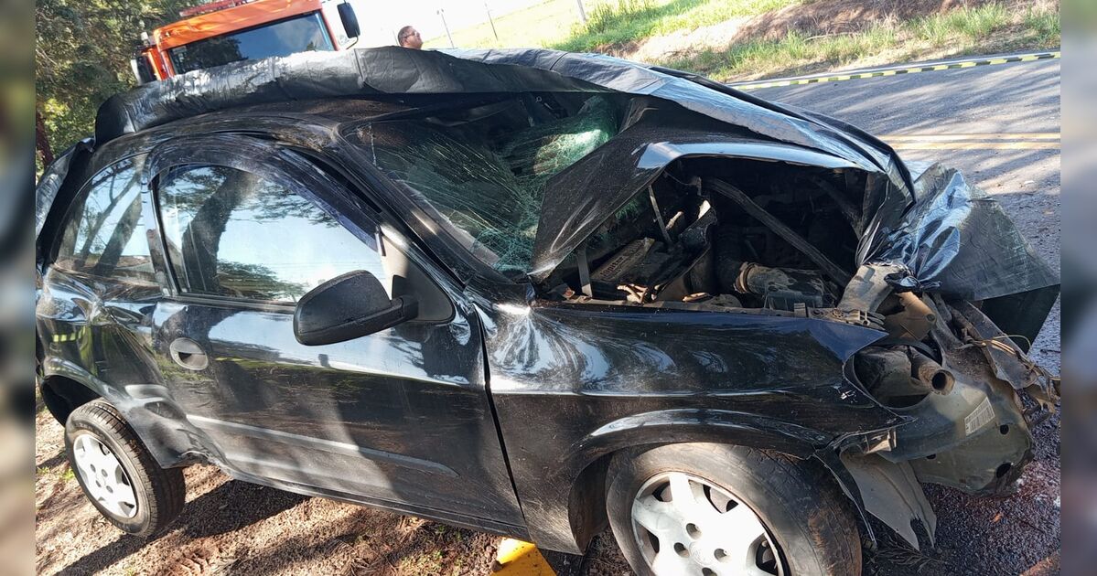 Motorista perde controle, bate contra árvore e morre na PR-151