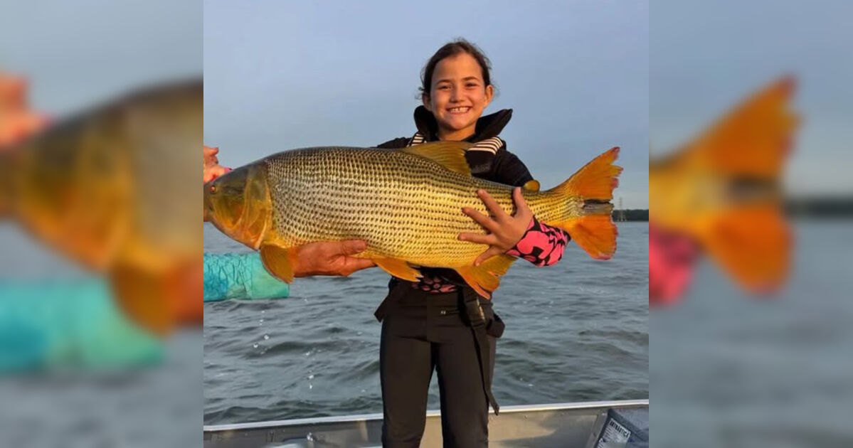 Menina de 7 anos do Paraná estabelece novo recorde com captura de dourado