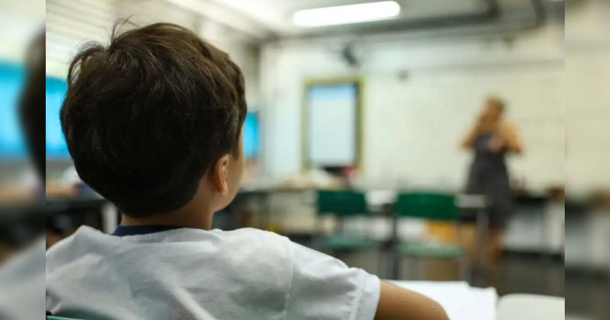 Projeto de lei na Câmara propõe autorizar porte de arma para professores nas escolas