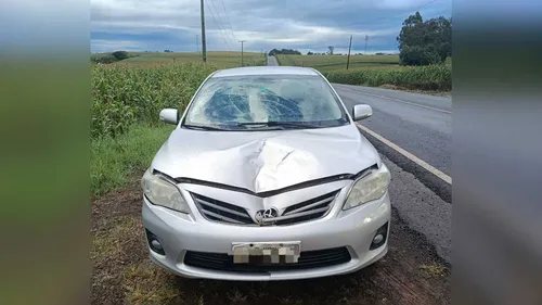 Atropelamento ocorreu na manhã desta quinta-feira (11) na PR-082