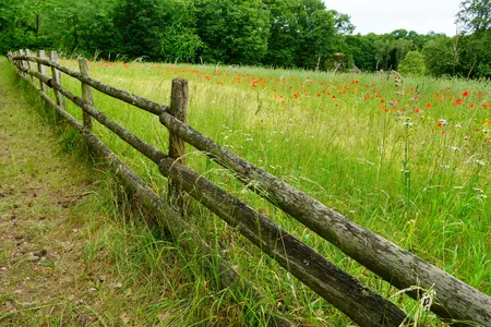 Ocorrência ocorreu na zona rural da Vila Reis