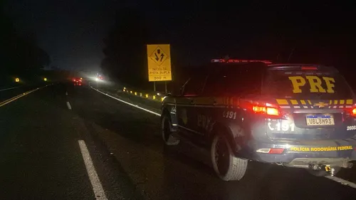 Viatura da PRF, concessionária e Polícia Civil atenderam atropelamento com morte na BR-376