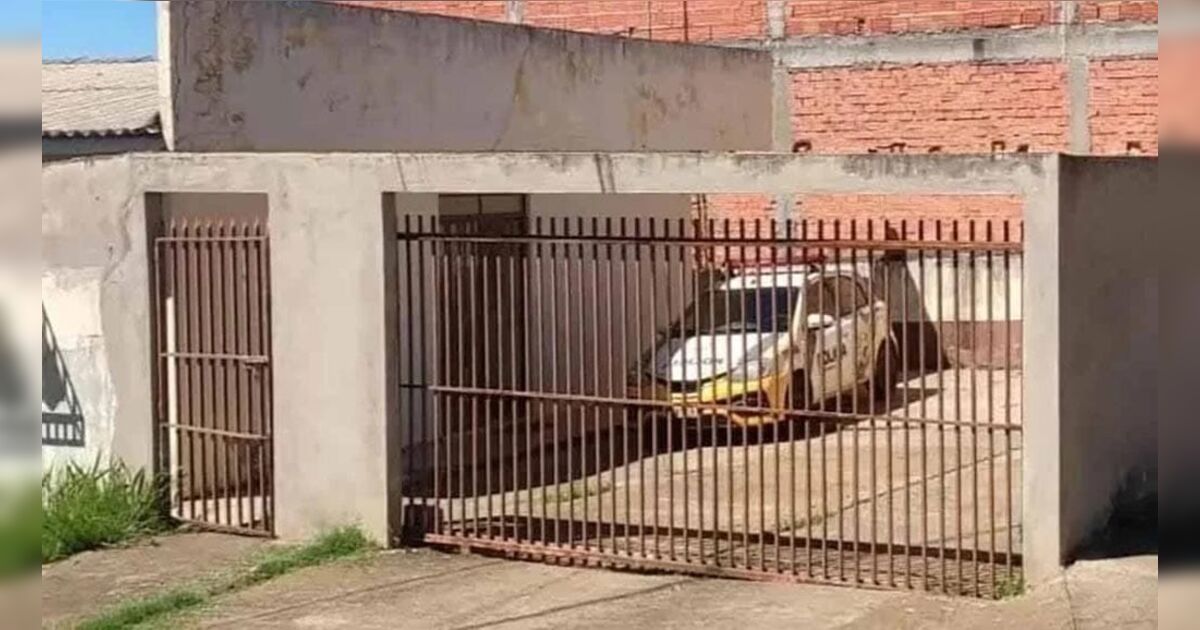 imagem