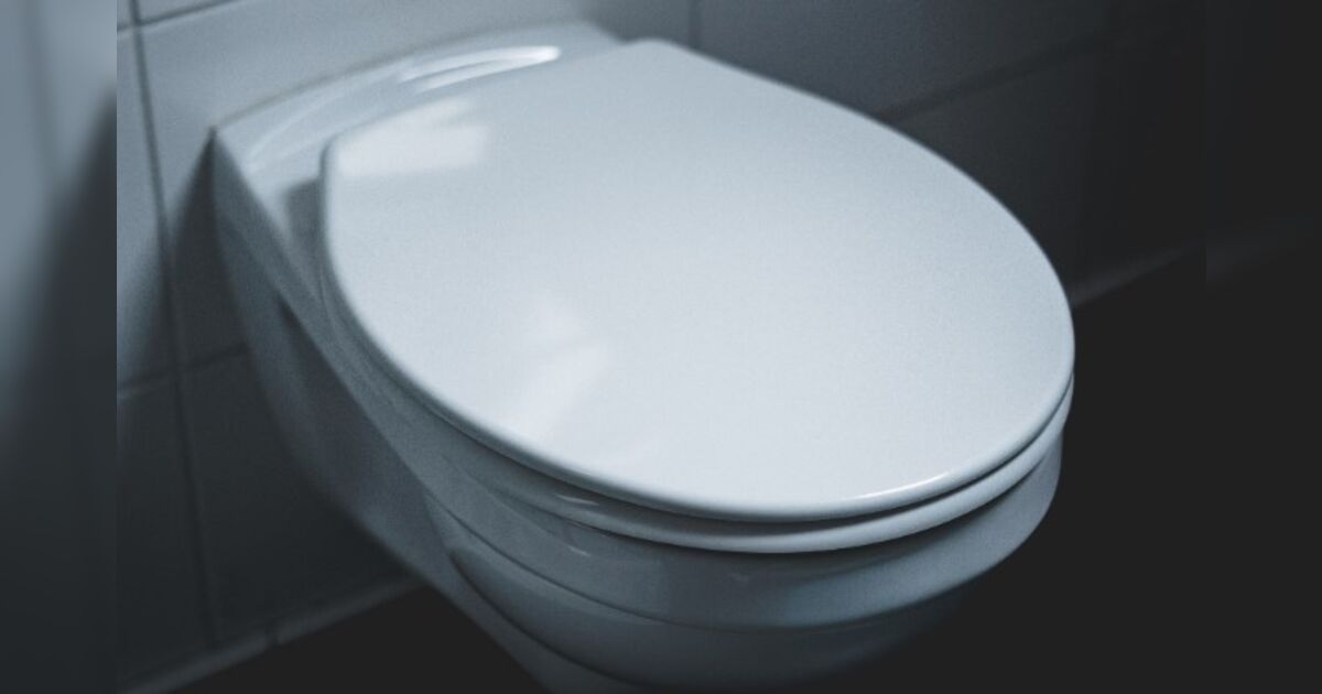 Por que não devemos jogar papel higiênico nem lixo no vaso sanitário e dar descarga?
