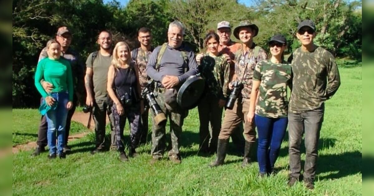 imagem
